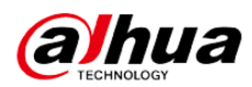 Producent: Dahua (przejdź do produktów)
